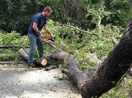 Best Tree Preservation Services  in Kechi, KS