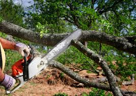 Best Soil Testing and Treatment  in Kechi, KS