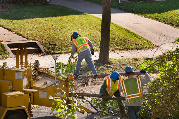  Kechi, KS Tree Services Pros