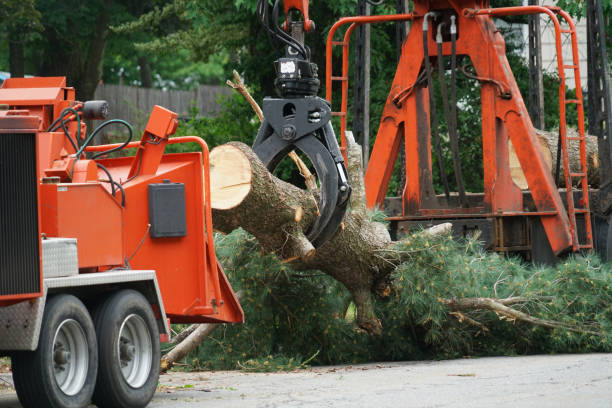 Mulching Services in Kechi, KS